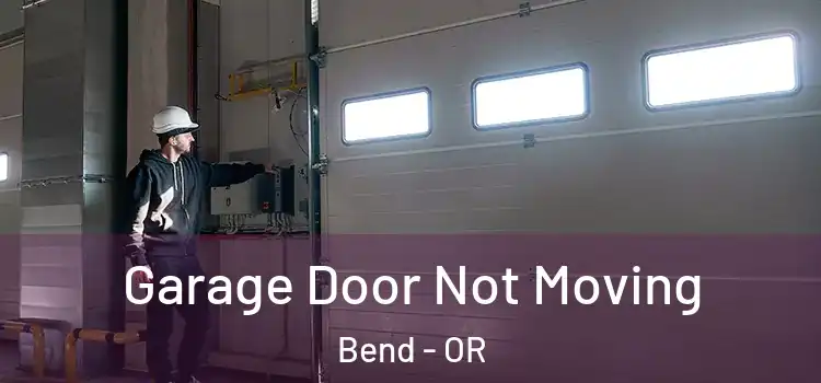  Garage Door Not Moving Bend - OR